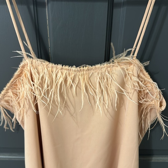 Champagne pink color feather top - Picture 2 of 4
